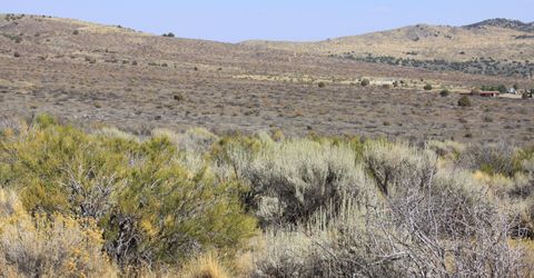 1220 Freds Mountain Road, Lot #168, Reno, NV 89508 Photo
