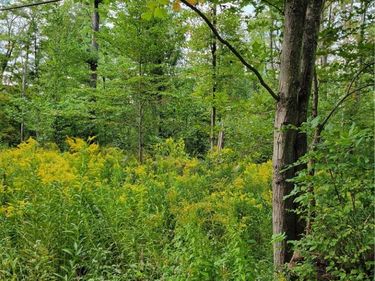 0 Block , Delevan, NY 14042