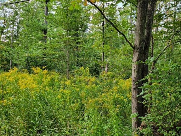 0 Block, Delevan, NY 14042