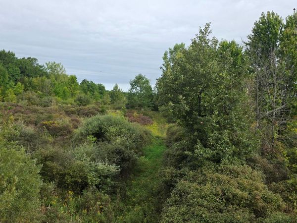 00 Barnes , North Branch Township, Mi 48461