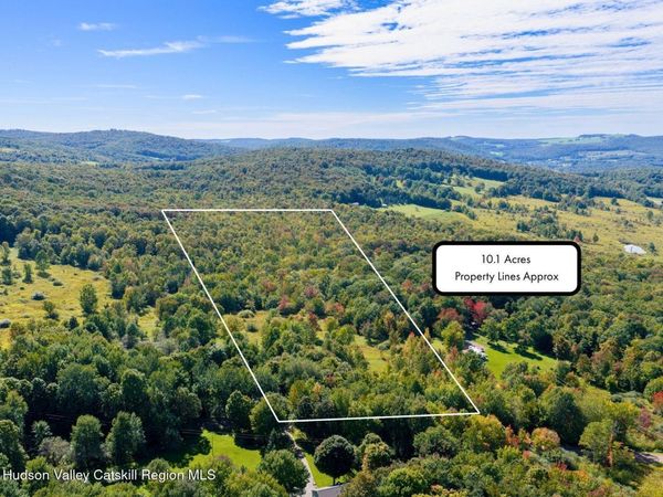 Lot 15 Turk Road, Kortright, NY 13739