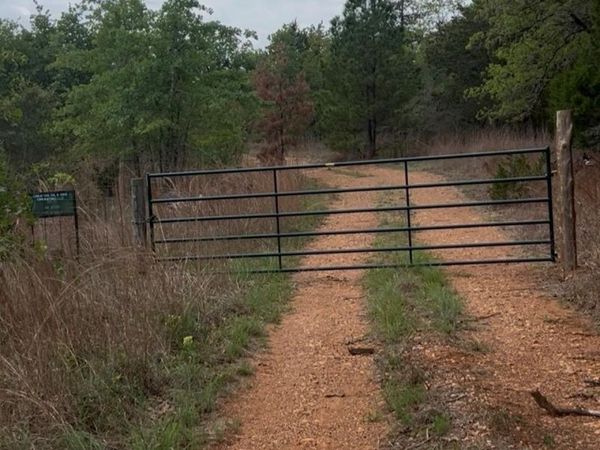 Lot 1 South Old Potato RD, Paige, TX 78659