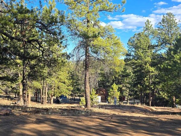 595 Mustang Trail, Florissant, CO 80816