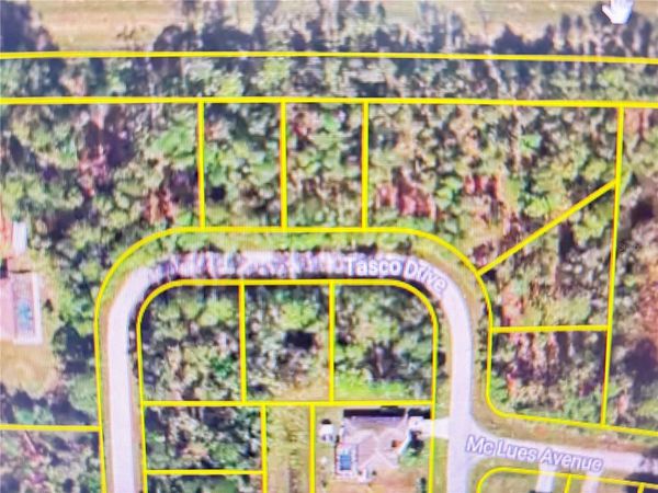 TASCO LOTS 2,3, & 4 DRIVE , NORTH PORT, FL 34291