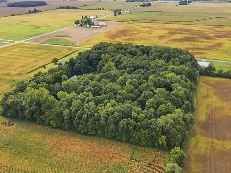6859 E Snyder Road, Fletcher, OH 45326 Photo 8