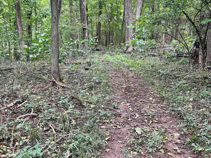 7198 Canyon Road SE, Hebron, OH 43025 Photo 37