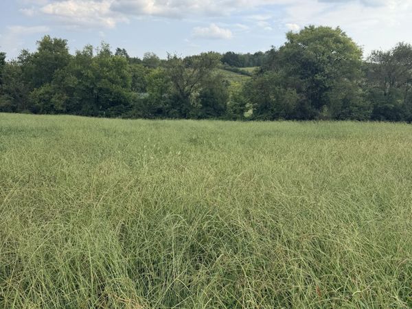 Lot 2 Springvale Road, Morristown, TN 37813