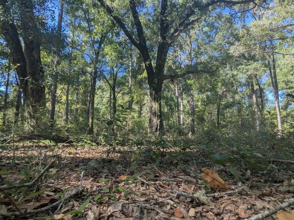 xx Crawfordville Highway , Crawfordville, FL 32327