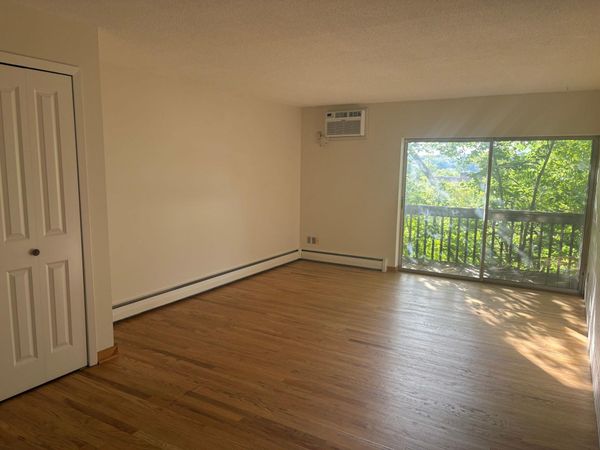 380 Ramsey Street , Unit 3A, Saint Paul, MN 55102