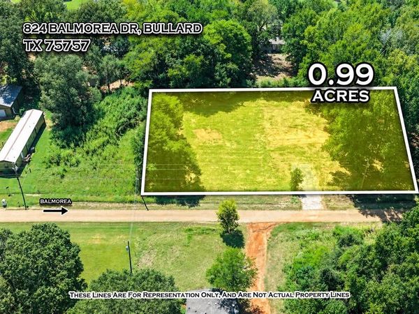 824 Balmorea Drive, Bullard, TX 75757