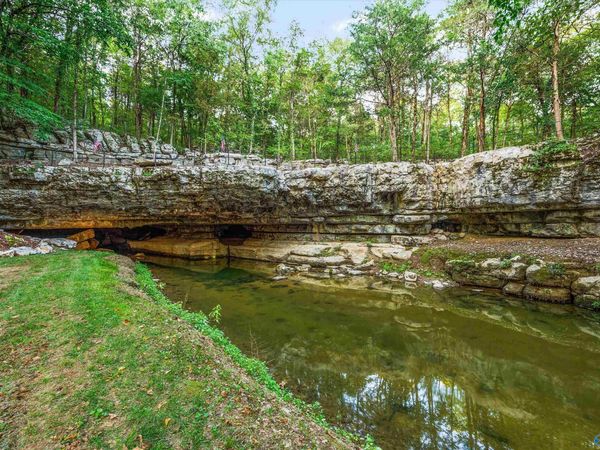 4201 Pleasant Valley Road, Union Grove, AL 35175