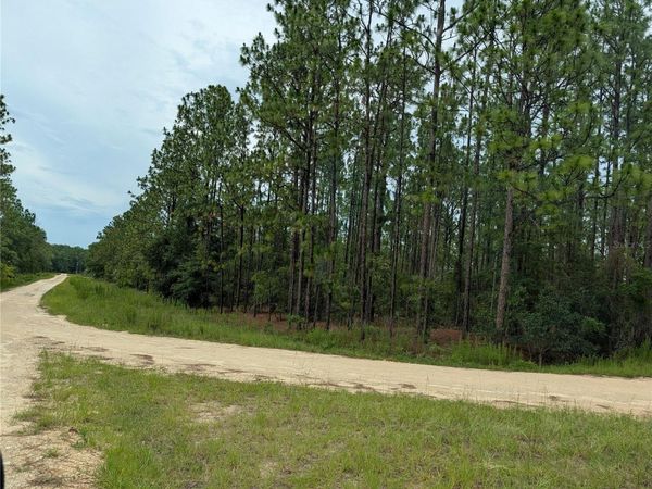 SW TBD SW 125TH COURT ROAD , OCALA, FL 34481