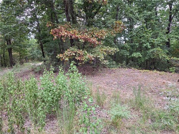 7203 Marion County 6061 , Flippin, AR 72634