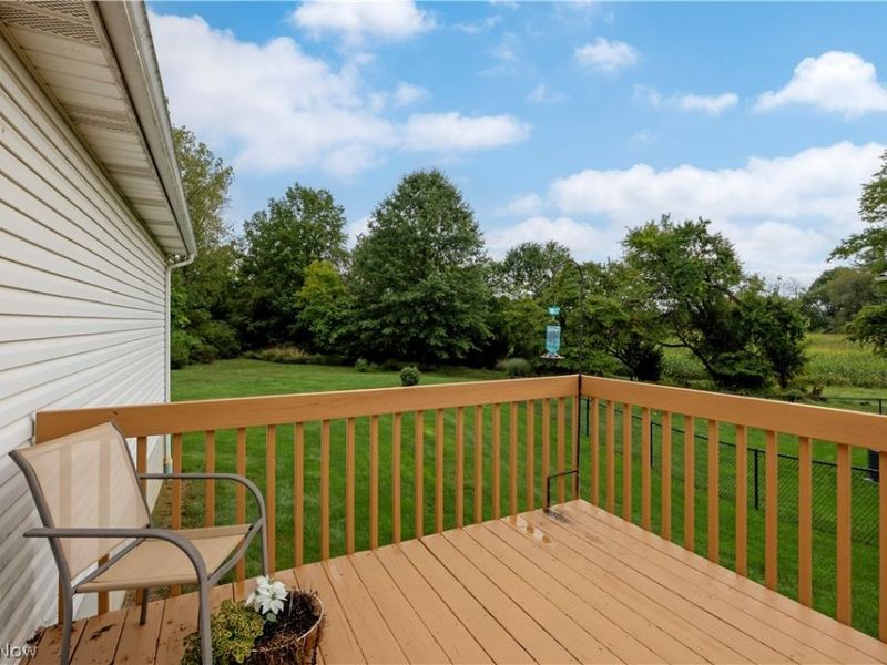 3924 Dornoch Drive, Wooster, OH 44691 Photo 23