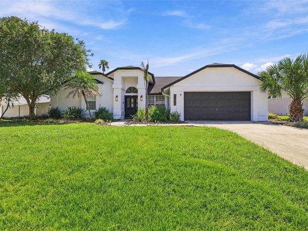 2722 BUCKHORN OAKS DRIVE , VALRICO, FL 33594