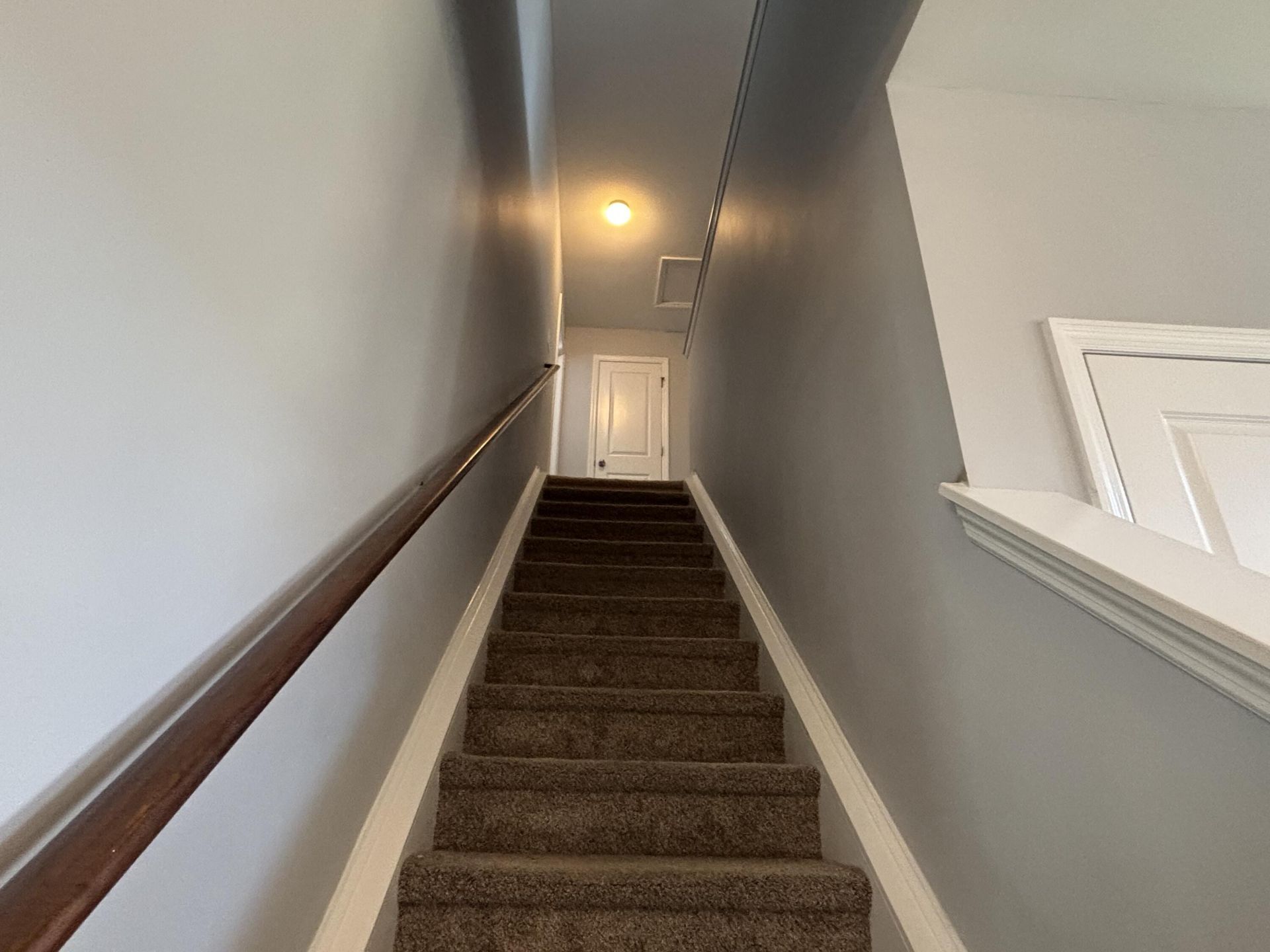 1029 Whitlow Boulevard Photo 19