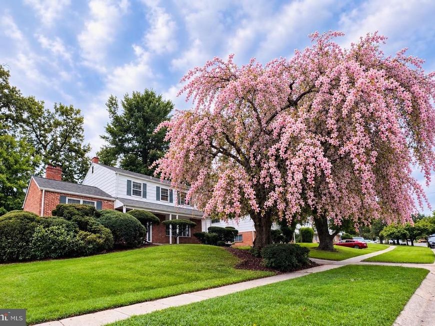 900 Lamberton Drive, Silver Spring, MD 20902 Main Photo
