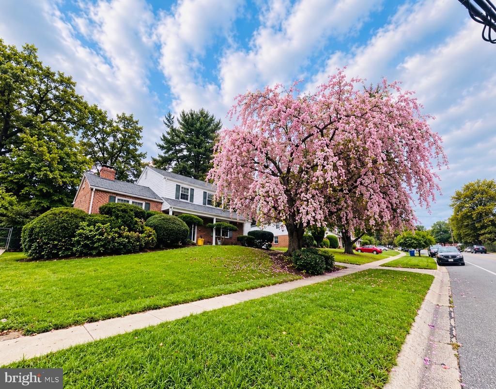 900 LAMBERTON DRIVE , SILVER SPRING, MD 20902