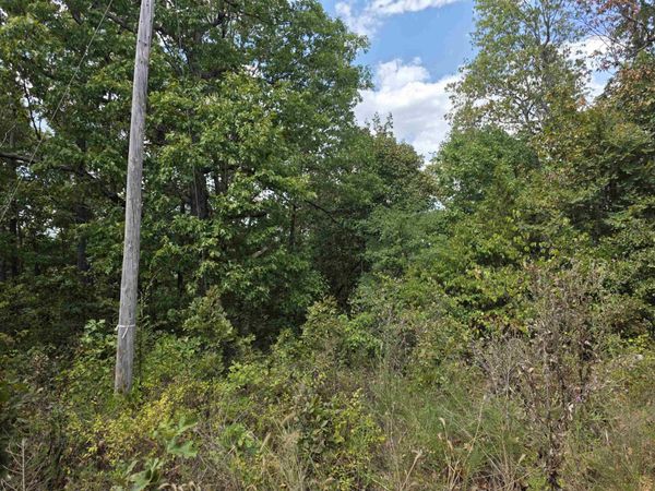 L4H Old CC Road , Hardy, AR 72542