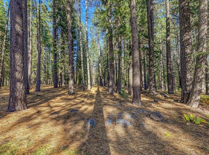 13485 Cristallina Way , Truckee, NV 89523 Photo