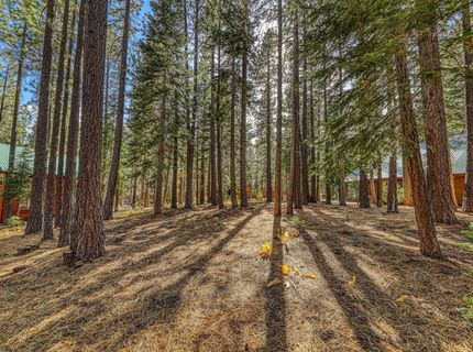13485 Cristallina Way , Truckee, NV 89523 Photo