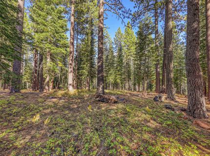 13485 Cristallina Way , Truckee, NV 89523 Photo