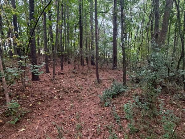 822 Tabby Lane, Athens, GA 30605