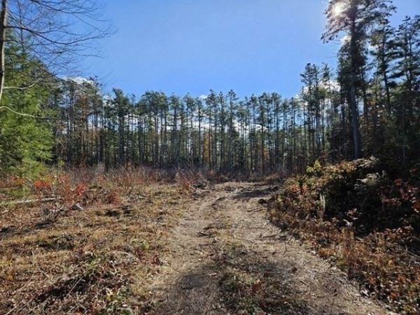 53 Daniel Shays Highway, Orange, MA 01364