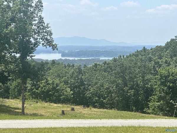 Lot 228 County Road 767, Unit #228, Cedar Bluff, AL 35959