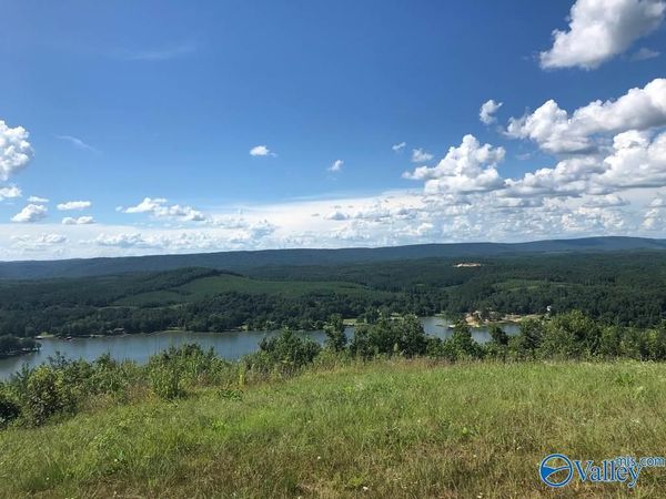 Lot 221 County Road 1022, Unit #221, Cedar Bluff, AL 35959