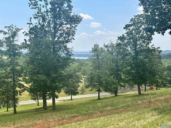 Lot 218 County Road 1022, Unit #218, Cedar Bluff, AL 35959