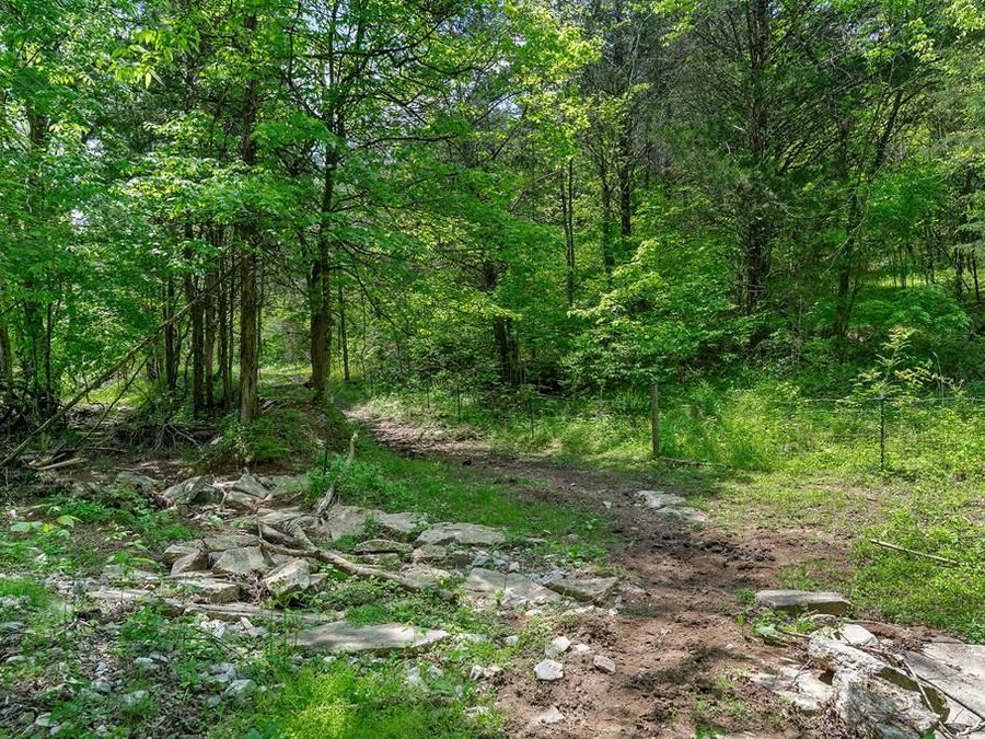 Property Image 53