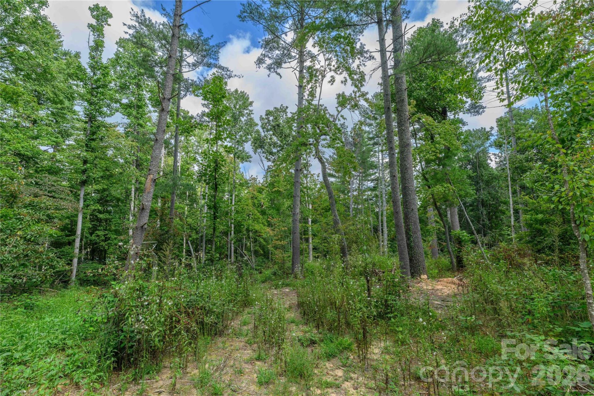 9999 Old Concord Road, Fletcher, NC 28732 Main Photo