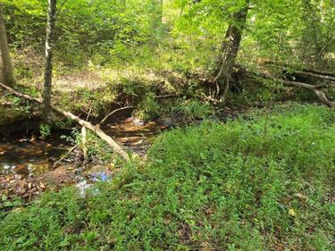 0 Hayshed Lot 4 Road, Amherst, VA 24521