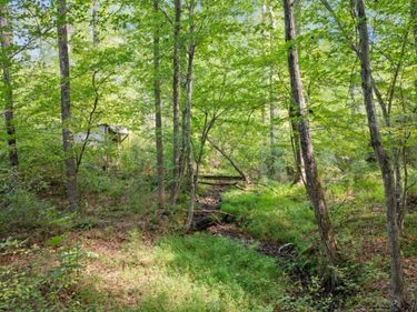 0 Hayshed Lot 5 Road, Amherst, VA 24521