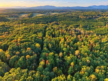 0 Hayshed Lot 6 Road, Amherst, VA 24521