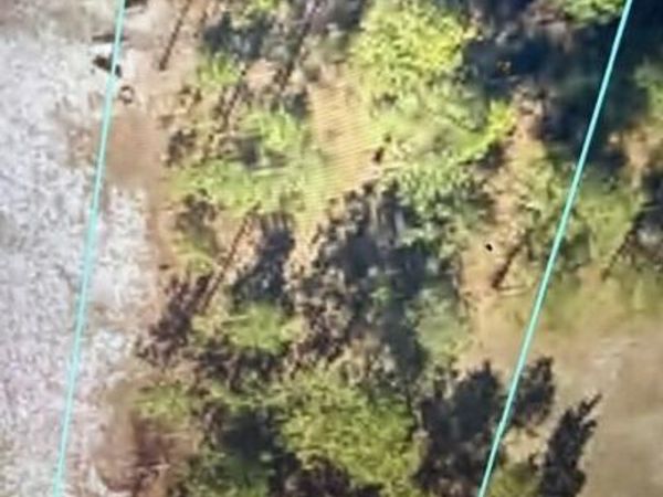 219 Oak Island Drive , Harrells, NC 28444