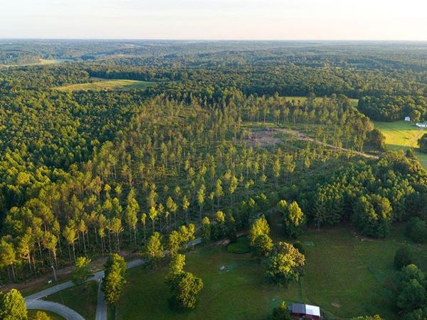 1 Gilchrist Road , Cypress Inn, TN 38452