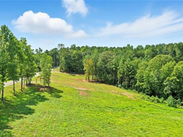 3511 Reavis Mountain #2 Road , Ball Ground, GA 30107