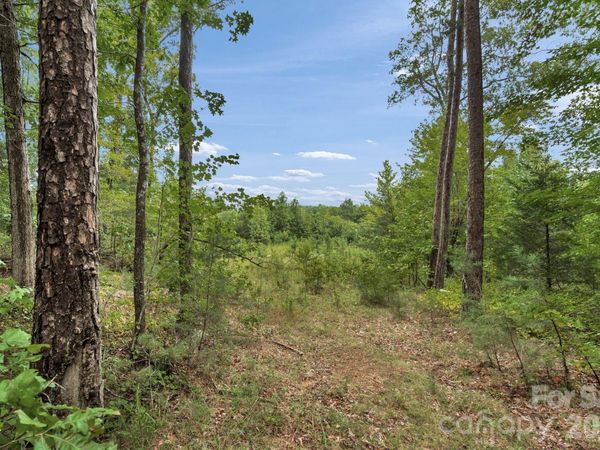 00 Mountain Road , Cleveland, NC 27013