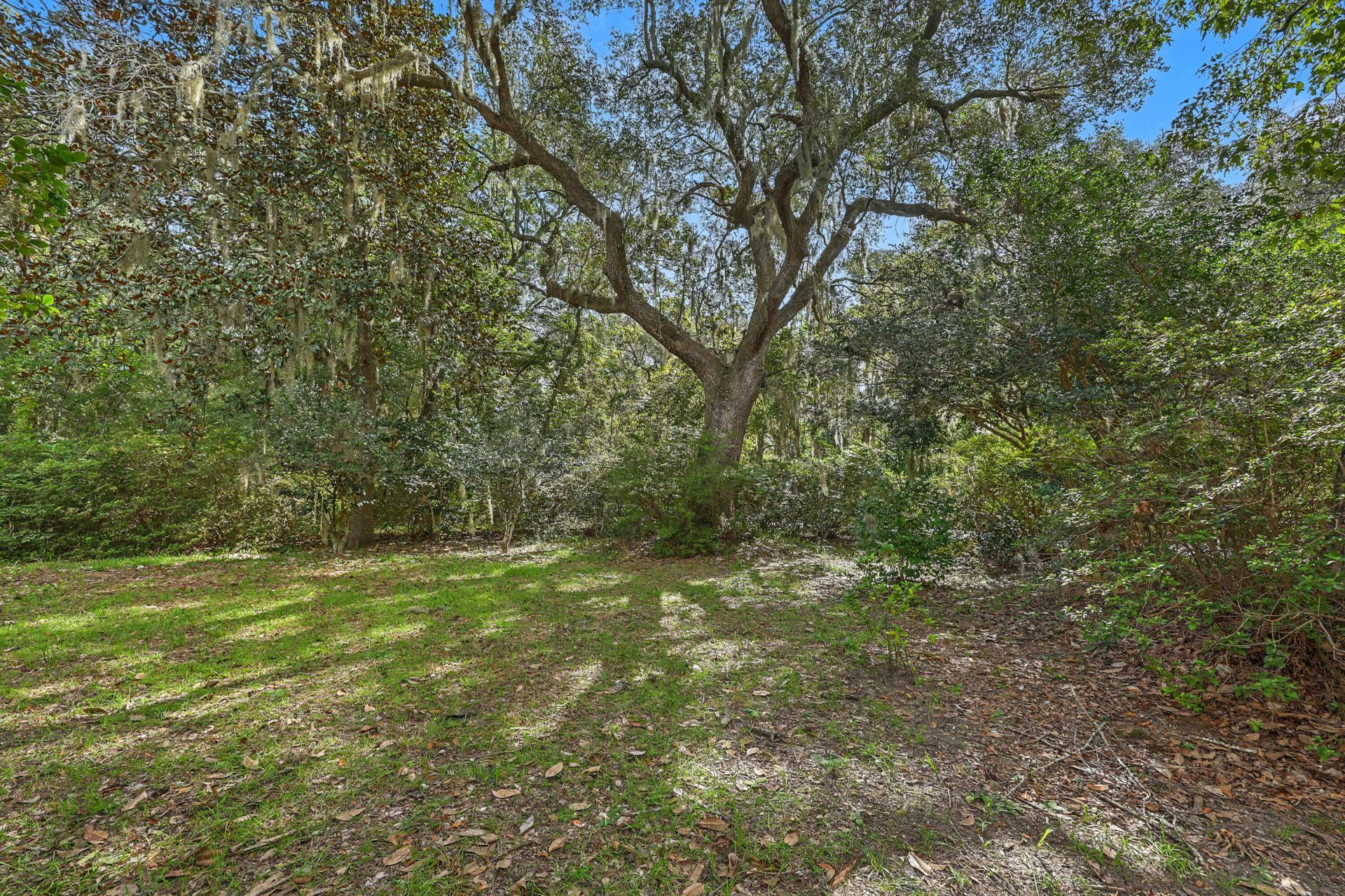 4674 Maybank Highway Photo 4