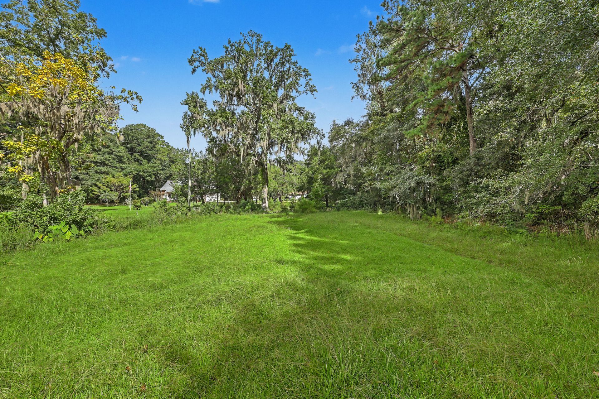 4678 Maybank Highway Photo 6