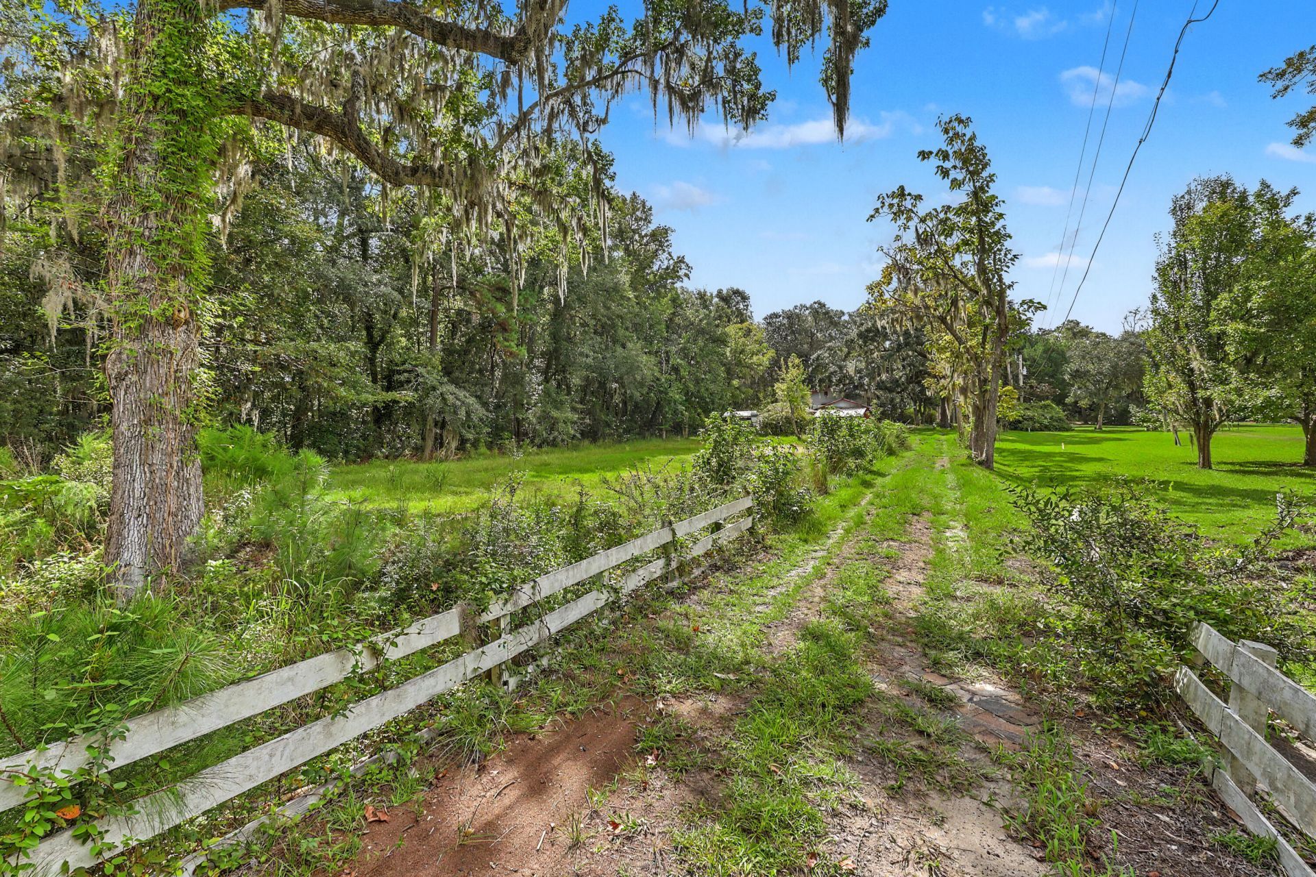 4678 Maybank Highway Photo 7
