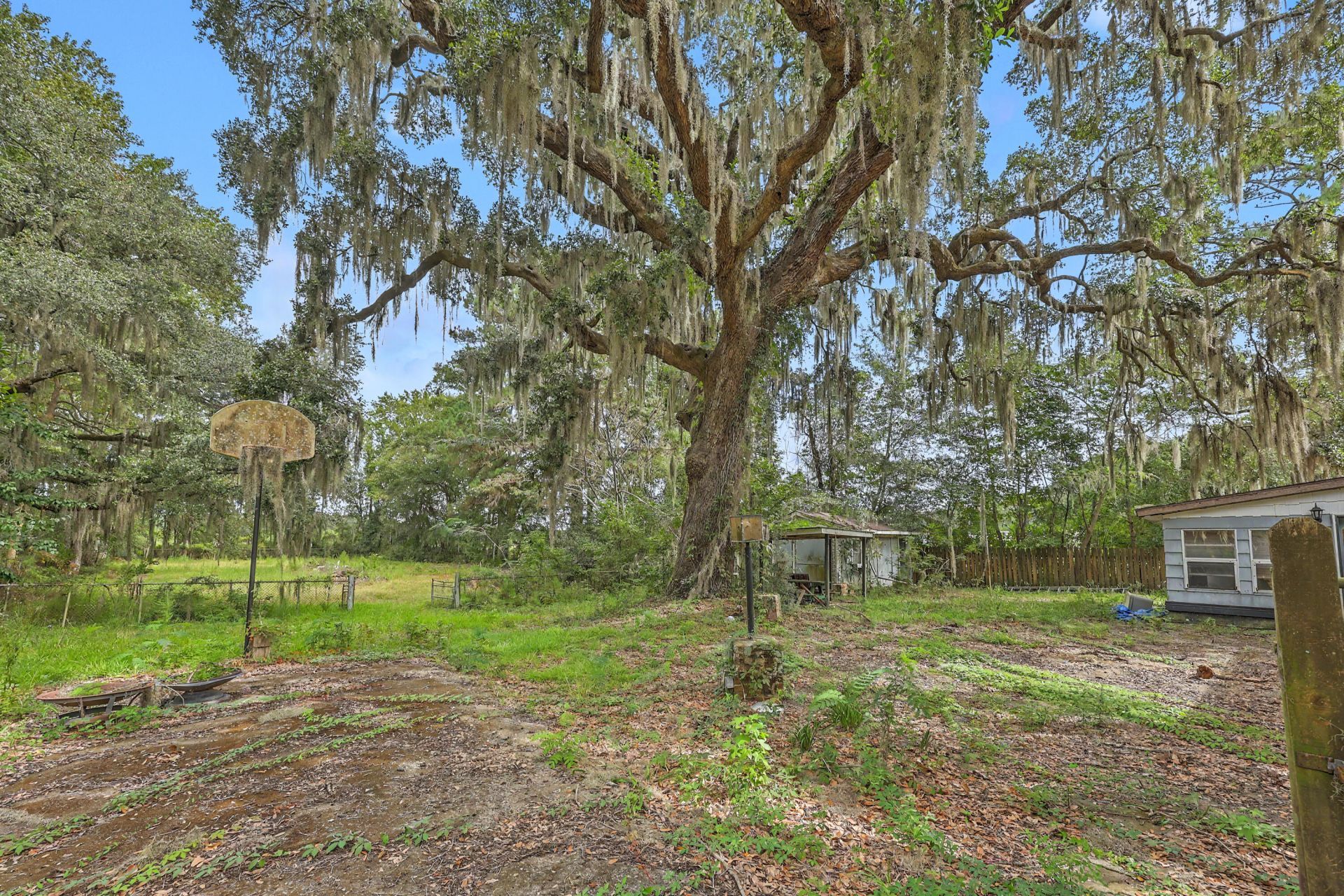 4678 Maybank Highway Photo 9