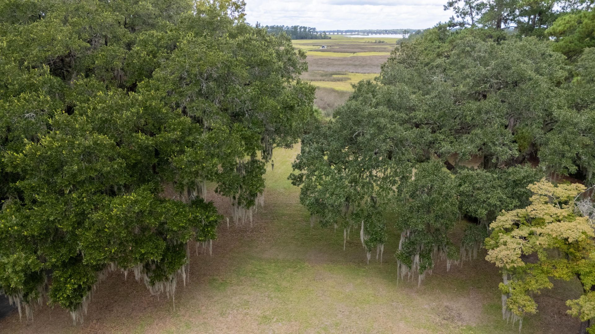 1460 River Front Drive  Photo 39
