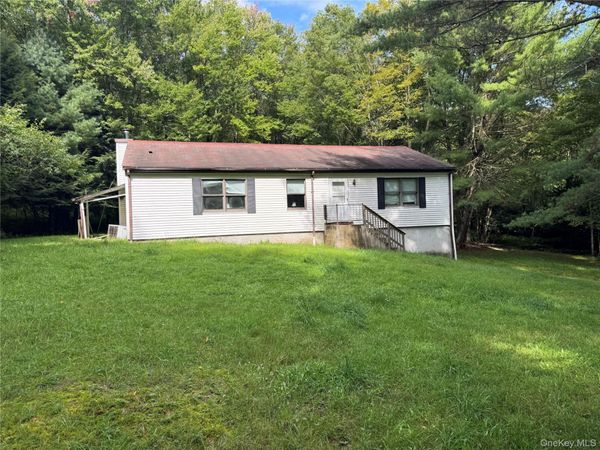 155 Blanchard Road , Swan Lake, NY 12783