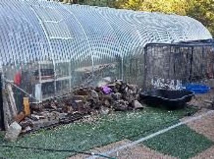 128 Hilton Dr, Applegate, CA 95703 Photo
