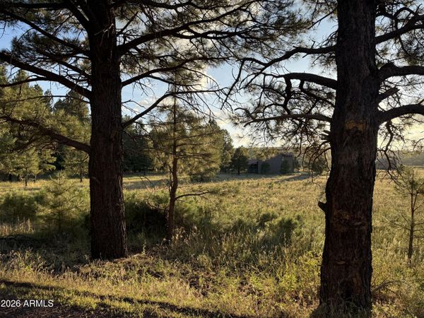 184 High Point Drive, Unit C, Mormon Lake, AZ 86038