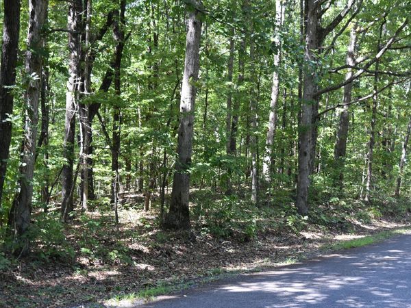 0 Lower Firetower Road, Sequatchie, TN 37374