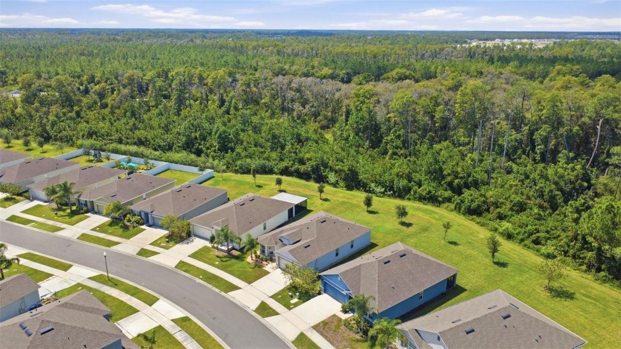 3241 Carpentaria Drive, New Smyrna Beach, FL 32168 Photo